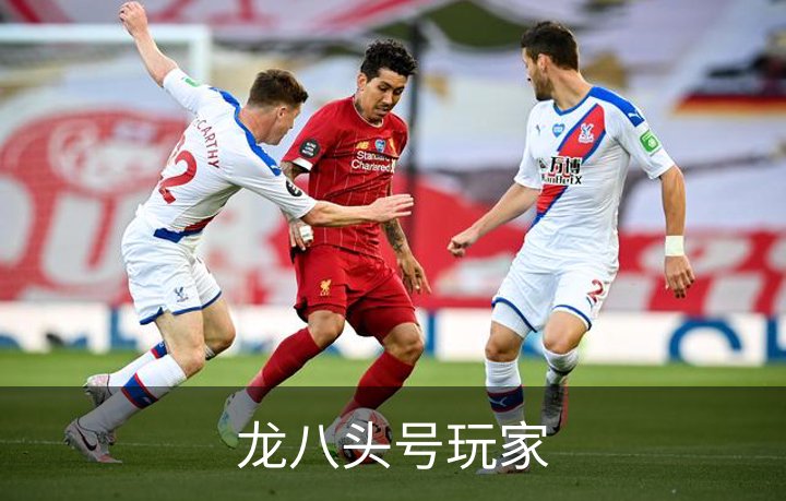 龙八头号玩家简介
